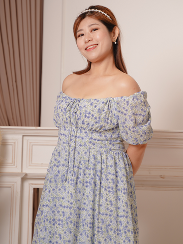 IVY French Romantic Baby Blue Floral Chiffon Dress