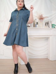 JUDY Button Front Flare Hem A-Line Denim Dress