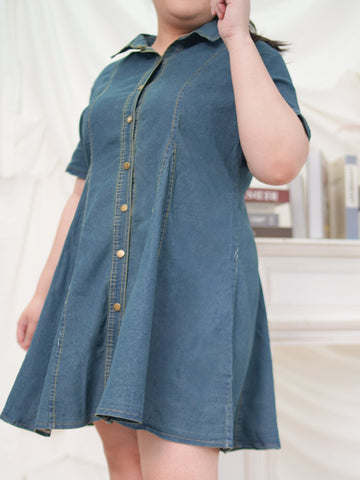 JUDY Button Front Flare Hem A-Line Denim Dress