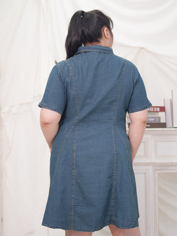 JUDY Button Front Flare Hem A-Line Denim Dress