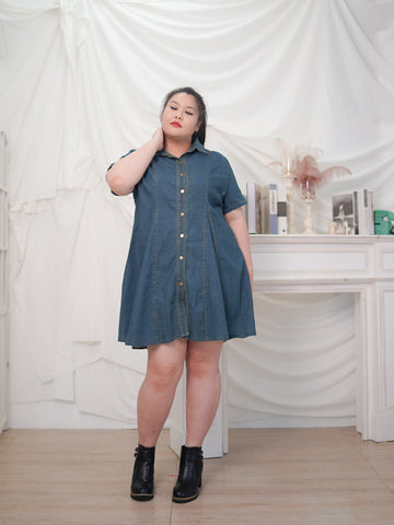 JUDY Button Front Flare Hem A-Line Denim Dress